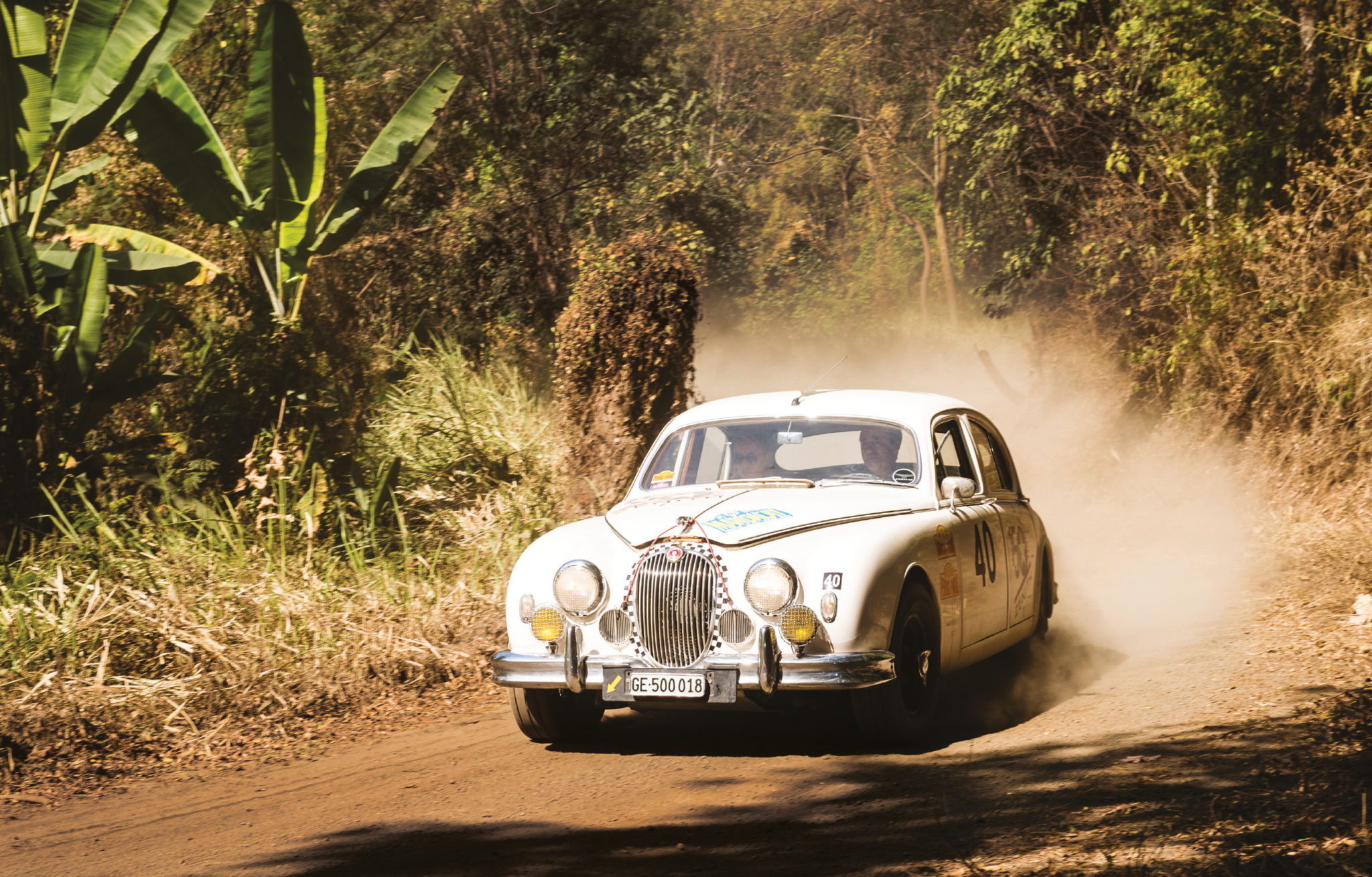 The Spadini rally fleet boasts his Citroen and this Mk1 Jag, which he took on the Road to Mandalay