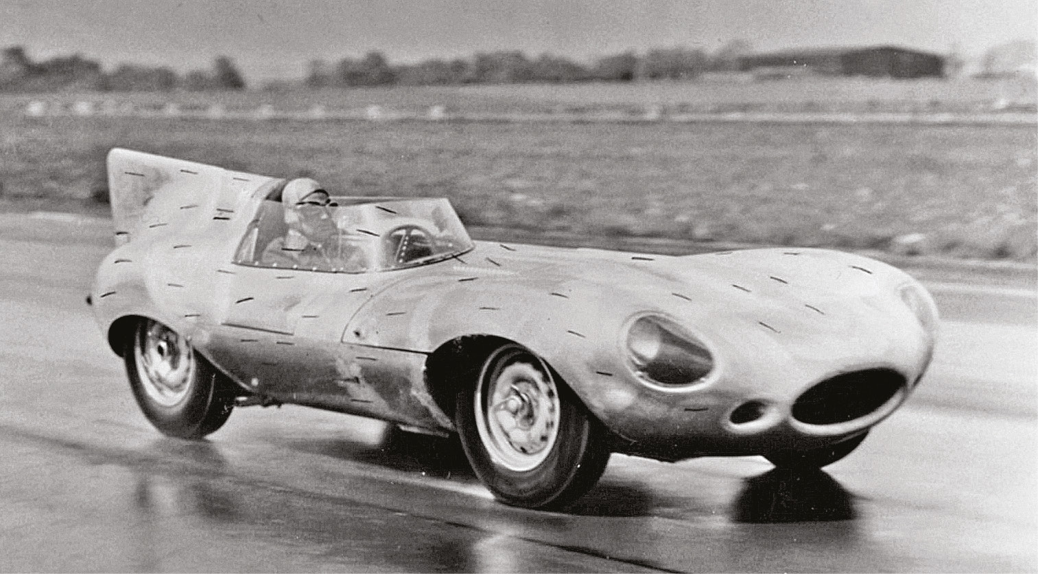 A Jaguar D-type with wool tufts attached to the body